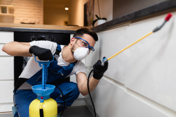 Trusted Osceola Mills, PA Pest Control Experts