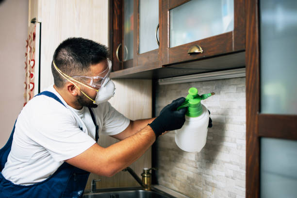 Best Residential Pest Control  in Osceola Mills, PA