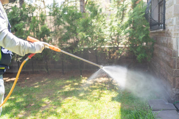 Best Pest Control Treatment  in Osceola Mills, PA