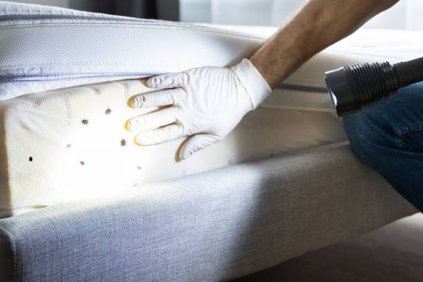 Best Pest Control Near Me  in Osceola Mills, PA