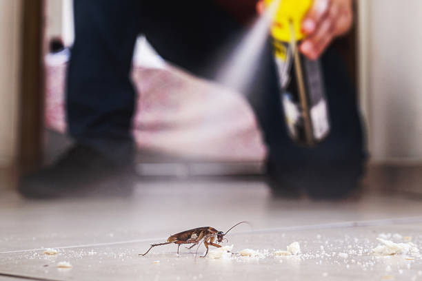 Best Pest Control for Homes  in Osceola Mills, PA