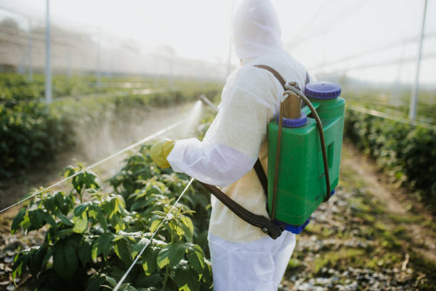 Best Pest Control for Businesses  in Osceola Mills, PA